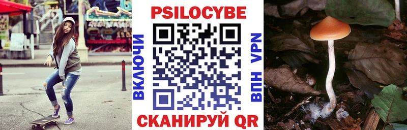 Псилоцибиновые грибы прущие грибы  Отрадный 