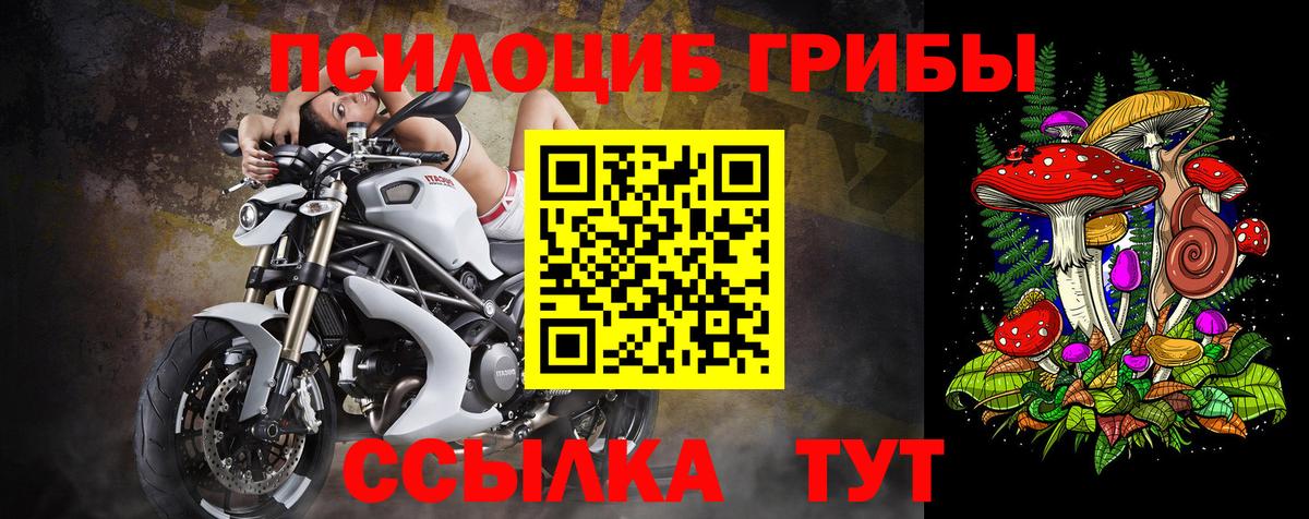 Галлюциногенные грибы Magic Shrooms Отрадный