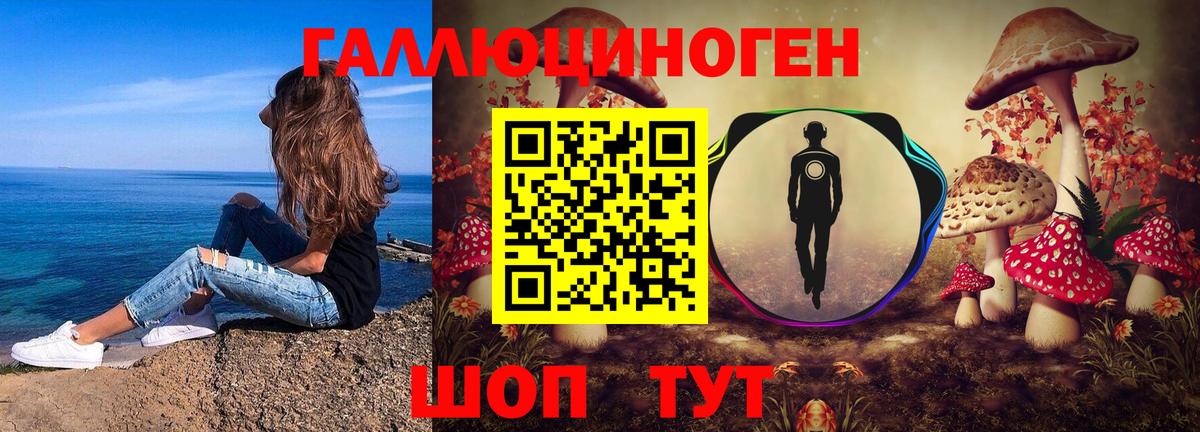 Галлюциногенные грибы MAGIC MUSHROOMS  Вход с VPN  Отрадный 