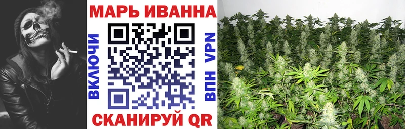Канабис Bruce Banner  Отрадный 